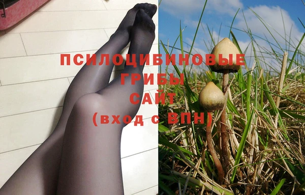 Альфа ПВП Осинники