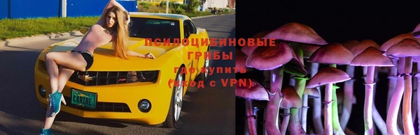 метадон Осташков