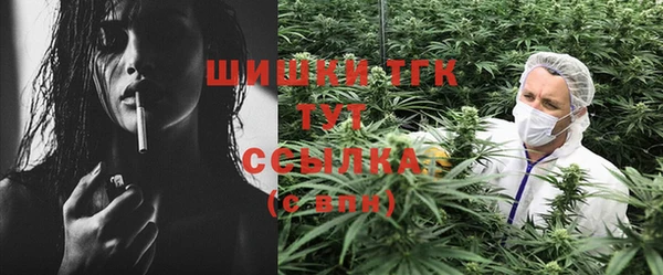 Альфа ПВП Осинники