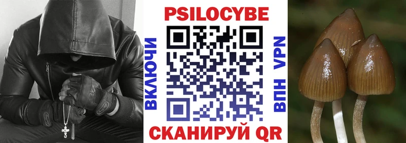 Галлюциногенные грибы мухоморы Борзя