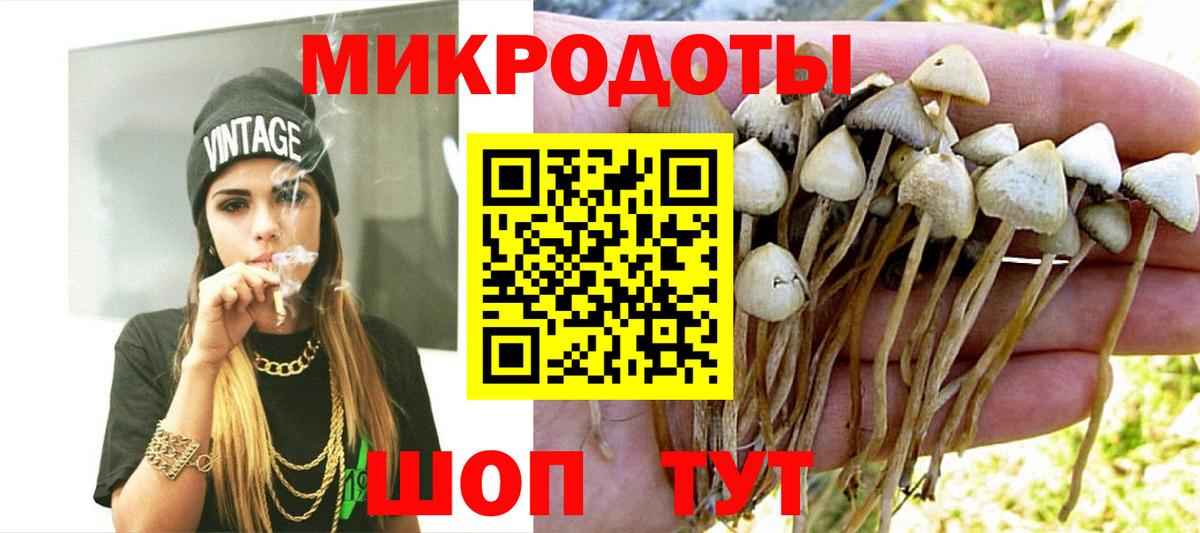 Борзя  Псилоцибиновые грибы Magic Shrooms  Галлюциногенные грибы GOLDEN TEACHER  Вход с VPN 